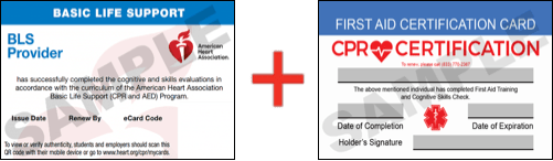 First Aid CPR Classes Boston CPR Certification Boston