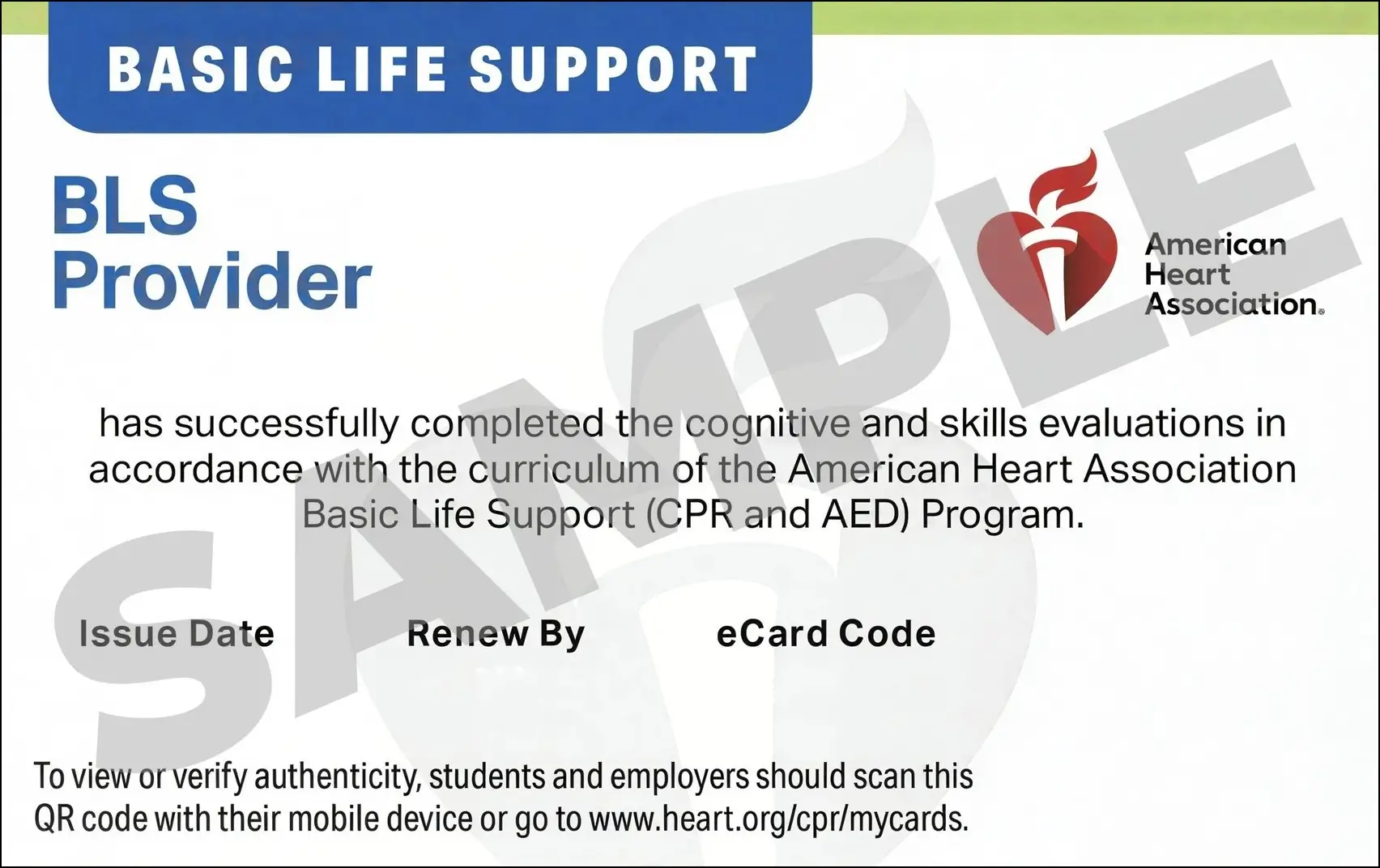 Sample American Heart Association AHA BLS CPR Card Certification from CPR Certification Boston